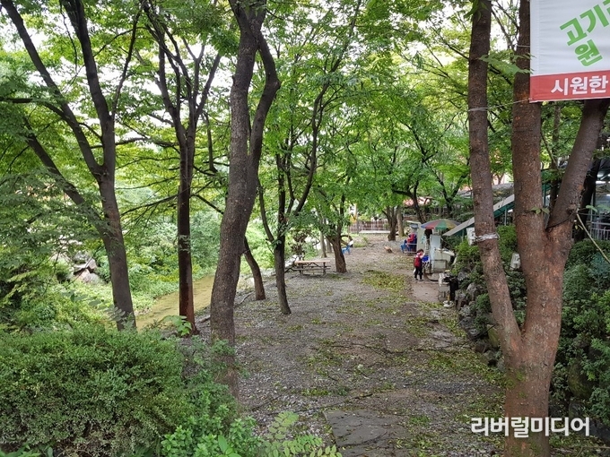 철거 후 깨끗해진 고기리 계곡.