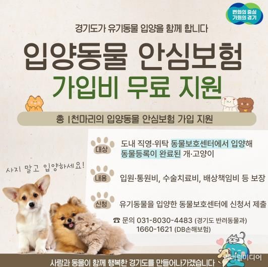카드뉴스(2025 입양동물 안심보험)