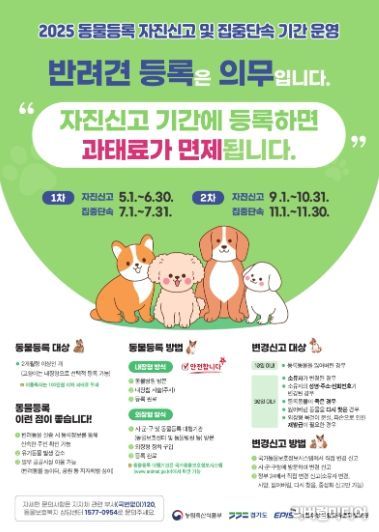 2025년 동물등록 자진신고 및 집중단속기간 운영 안내 포스터