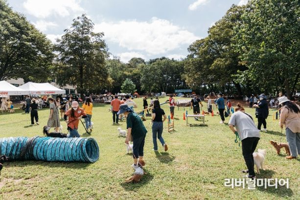 경기상상캠퍼스, 가을 맞이 반려견 축제 상상투게더