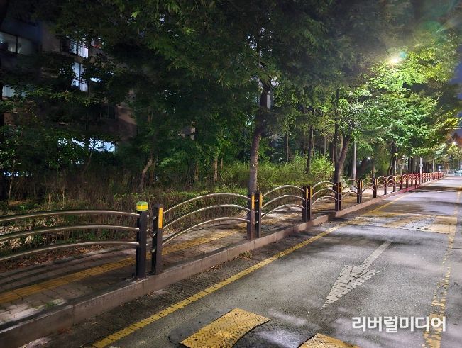 환경 정비 후 밤 10시 이후에도 환해진 거리.