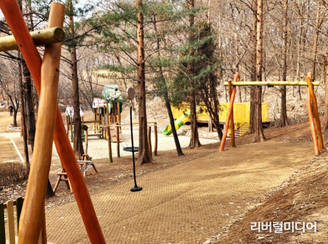 도당공원에 새로 조성된 숲 놀이터에는 모험심을 기를 수 있는 기구가 가득하다.