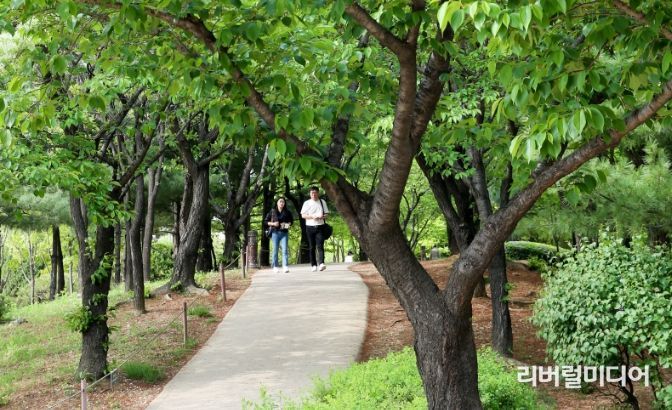 산책로가 잘 조성된 상동호수공원. 시민들이 여유롭게 산책을 즐기고 있다.