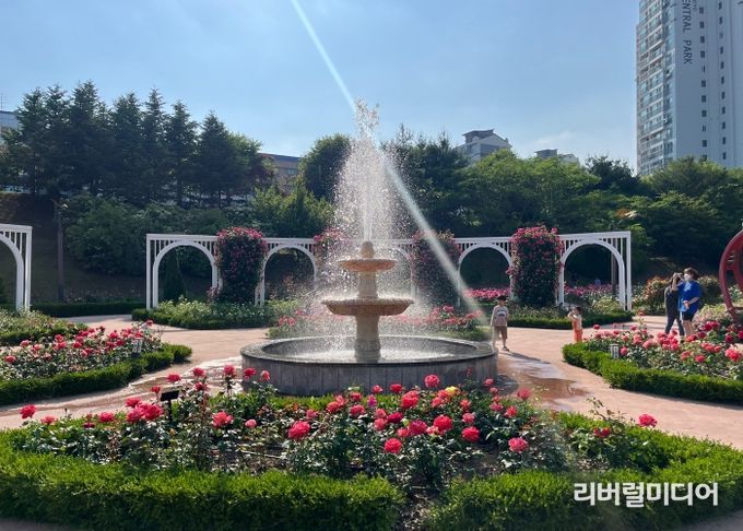 오산시, 계절의 여왕 5월 우리 같이 장미 보러 가요