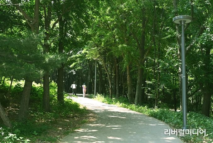 대유평공원과 이어지는 숙지산 보행로를 시민들이 걷고 있다.