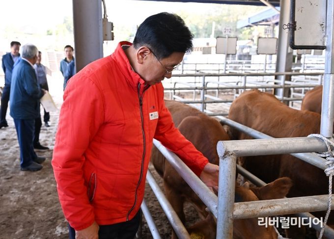 양평군, 럼피스킨 예방 접종 완료에 따른 가축시장 재개장