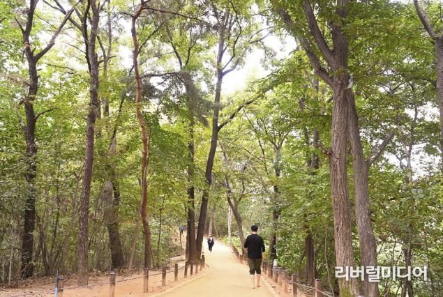 광교호수공원 내에 조성된 황톳길을 시민들이 걷고 있는 모습.