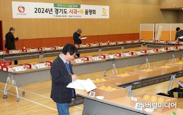 경기도 최고 품질의 사과, 배를 찾아라!