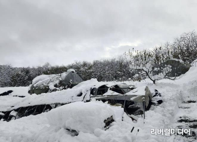 농가 피해 사진