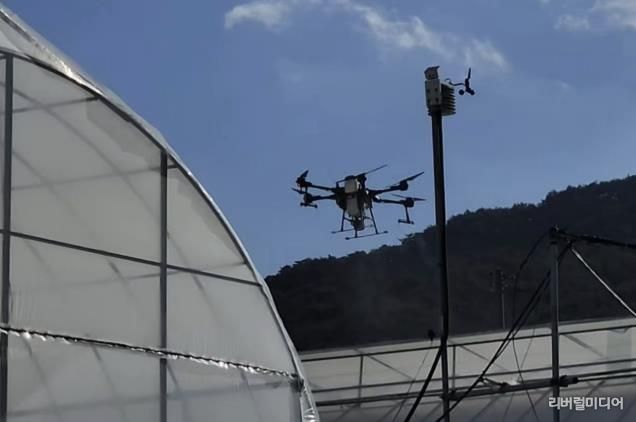 광주시농업기술센터, 드론 활용한 차광도포제 살포 실증 실시