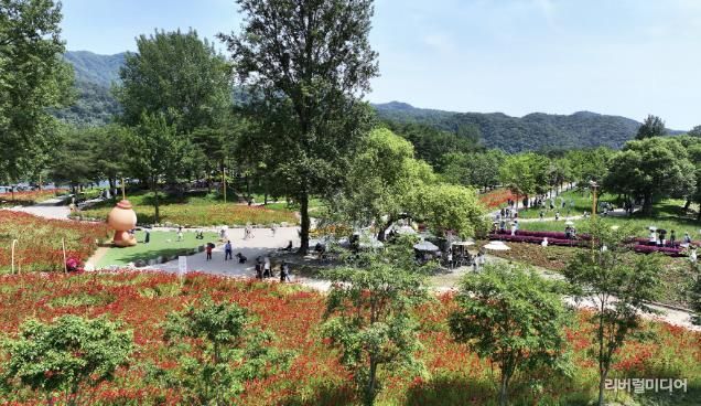 가평 ‘자라섬 꽃 페스타’… 16일 만에 10만명 돌파