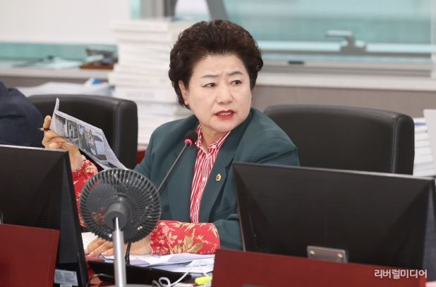 경기도의회 경제노동위원회 남경순 의원(국민의힘, 수원1)