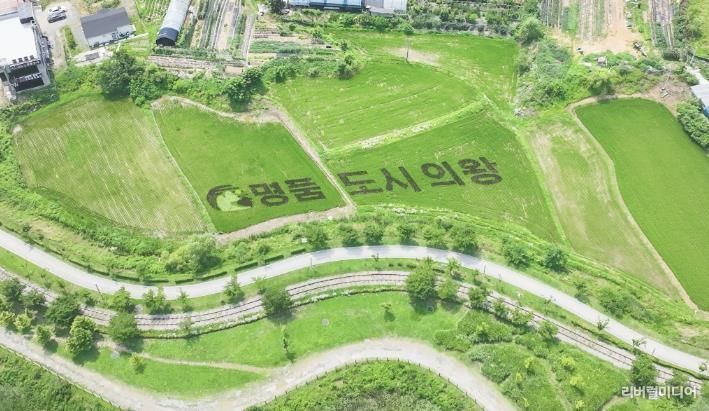 의왕시 초평동 들녘에 피어난“명품도시 의왕”…이색적 벼 아트 눈길 끌어
