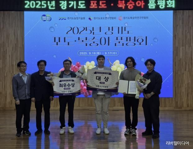 시흥시, 2025년 경기도 포도·복숭아 품평회서 3관왕 쾌거