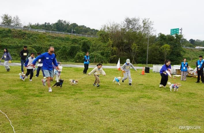 반려마루화성 홈커밍데이 (2) 경기사진