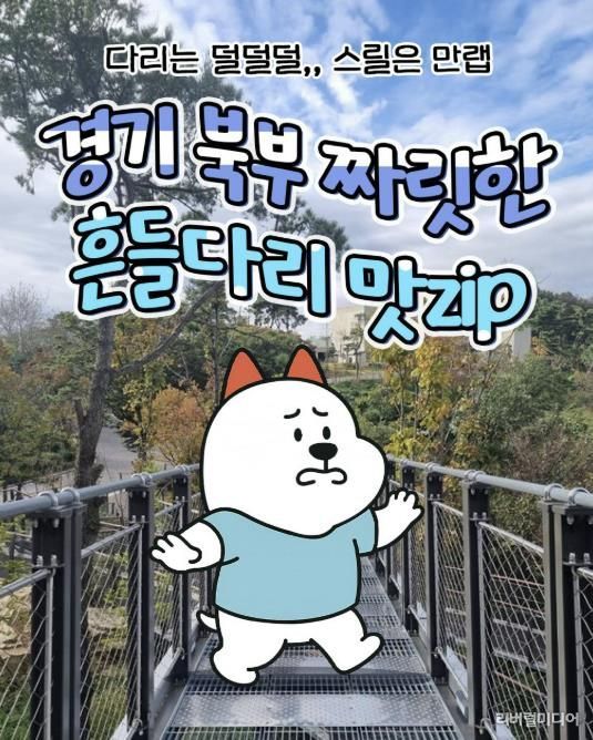 경기관광공사 DMZ 인스타그램, 대표캐릭터 누리 콘텐츠