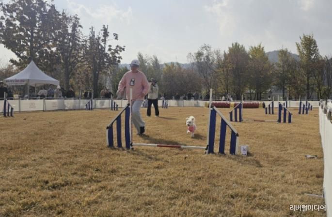 여주 강천섬 반려동반 힐링 프로그램, 반려가족 큰 호응 속 성공적 운영