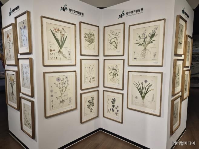 포천시, 한탄강의 아름다운 색채를 담은 압화 전시 개최