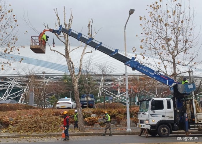 고양시 일산서구, 교통흐름 방해 가로수 전정 완료