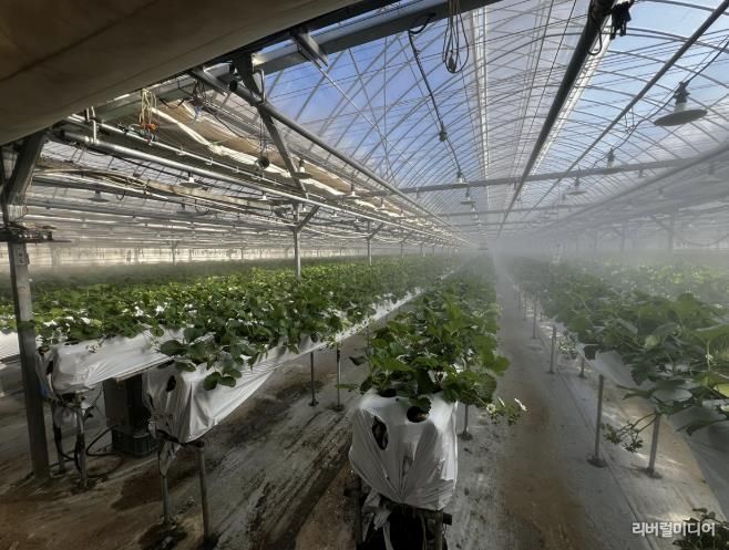 광주시, 선택형 맞춤 농정사업 추진…명품 농산물 육성 본격화