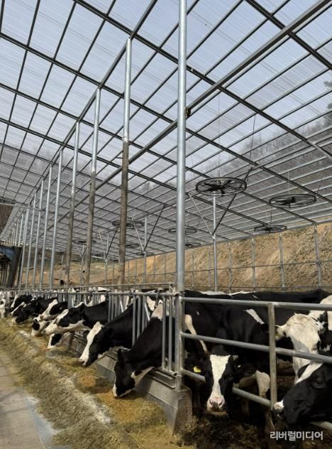 용인트례시가 '2026년 축산분야 생산지원사업' 희망 농가를 모집한다