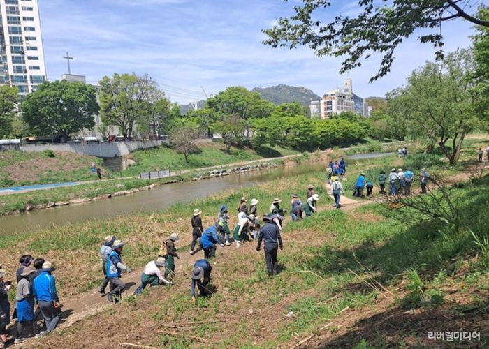 안양시, 시민 참여형 생태계 교란식물 제거활동 참가자 모집 중