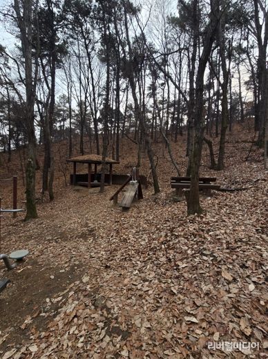 시설이 노후화된 수지구 광교산 숲길 전경